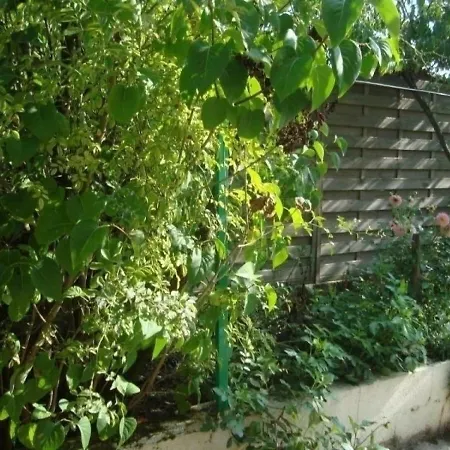 House Chauve - 5 Pers, 67 M2, 3/2 Hébergement de vacances *